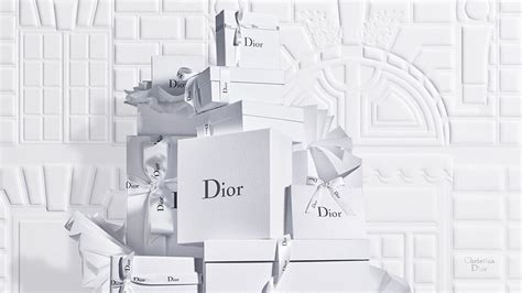 dior.com.usa|dior online official site.